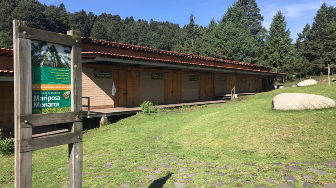 Reforestación 2