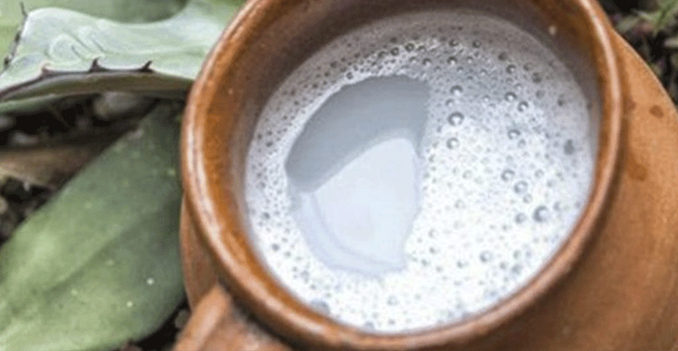 pulque-tarímbaro